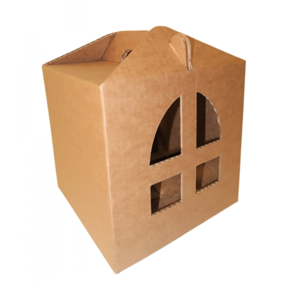 Dāvanu kaste- MĀJA 250x250x250